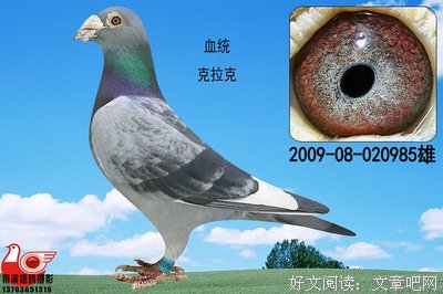 15条关于克拉克·麦克斯的经典语句