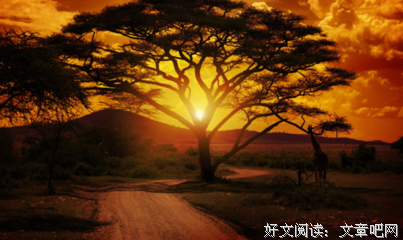 偶的累句子大全