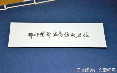 有关寻梦蝶的句子
