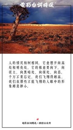 《凡～》的句子