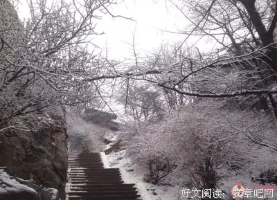 用山上的风景经典的句子