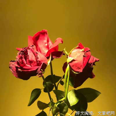 青墨经典的句子