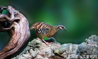 一场疫情，提醒你我！