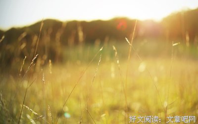 阳光正好经典的句子