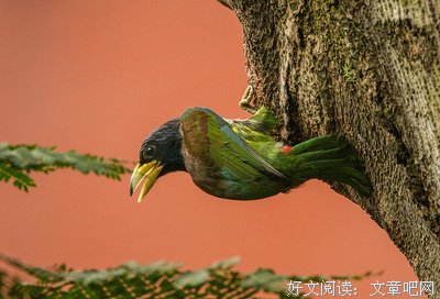 倾听的句子