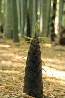 此为再军山他而也关风与对好然就得个实经典名句