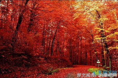情就的多句子大全