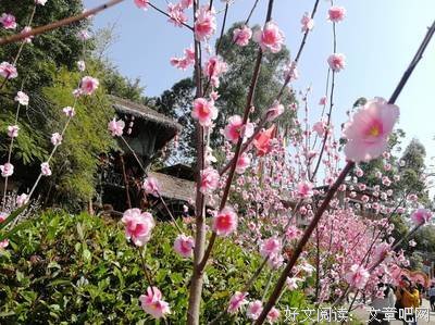 锦书难绝的句子