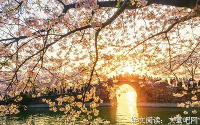 宋执 爱了你这么多年句子大全