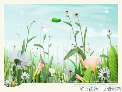 关于郭敬明的优美句子