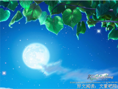 有关花间一壶酒的句子