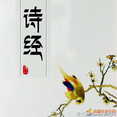 《言值》经典读后感有感