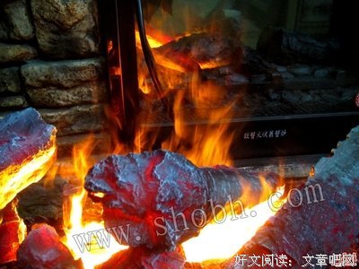 亚伦·保尔的名句_关于亚伦·保尔的名句