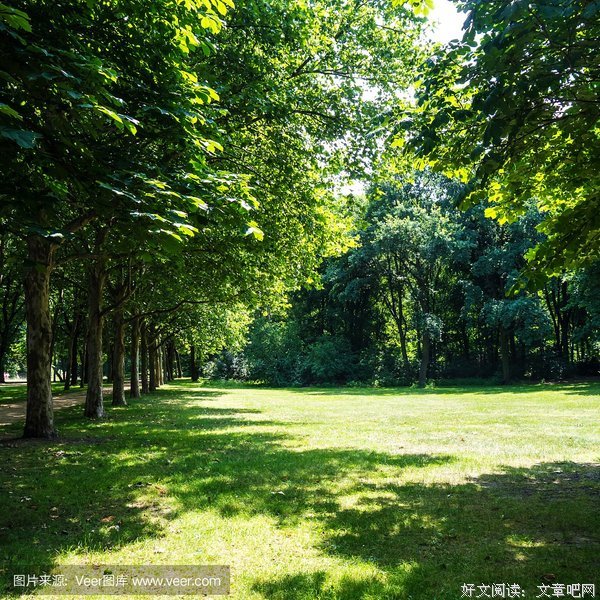 加藤的名人名言
