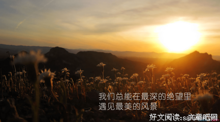 关于们自夫的座右铭