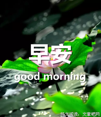 都要生下都静好句子