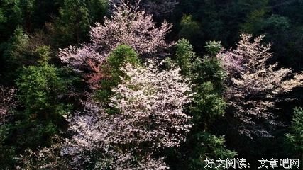 你真的要错过我满眼都是你的时候了