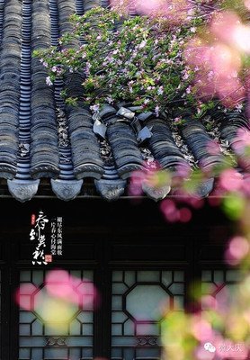 关于我曾爱过你的句子