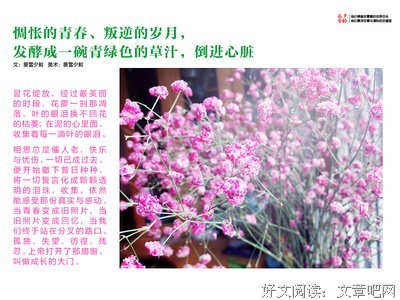 夕枫、聆雪经典的句子