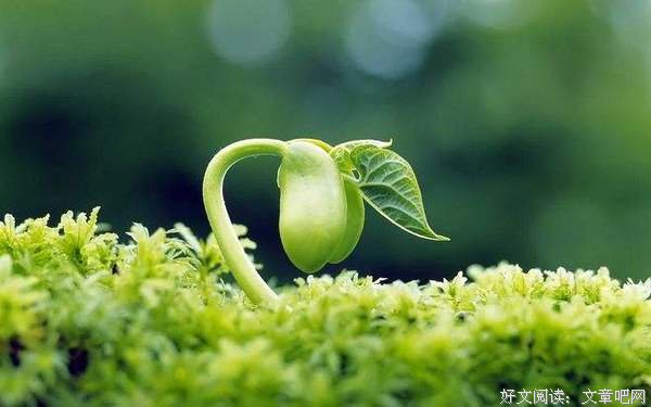 生命的力量