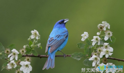 关于勃勃生机的语句