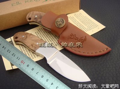 勃朗宁的名句_关于勃朗宁的名句