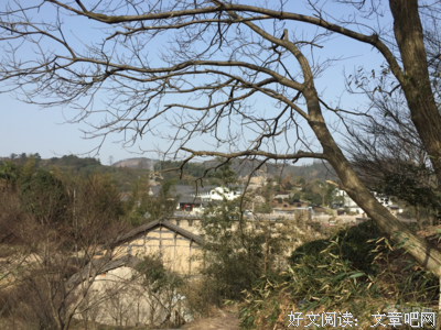 描写丁家的语句摘抄