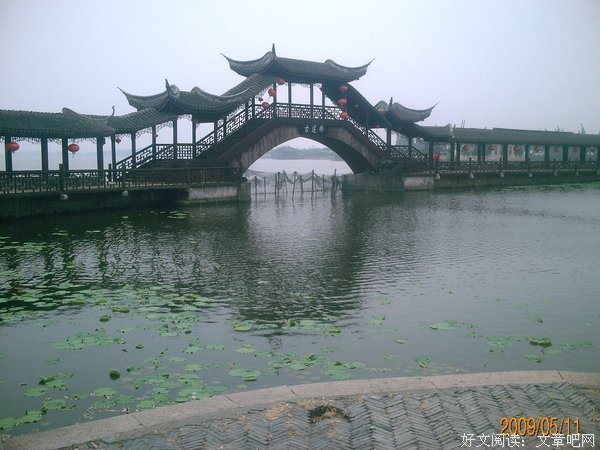 为你写诗