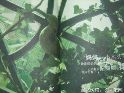 最糟糕的教育：爸爸不出力，妈妈用蛮力！