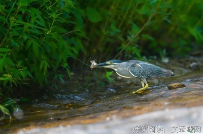 关于风清云淡 的句子