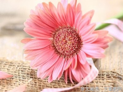 我的好然自七开岁去优美的句子
