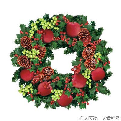 最全的《檞寄生》名句欣赏