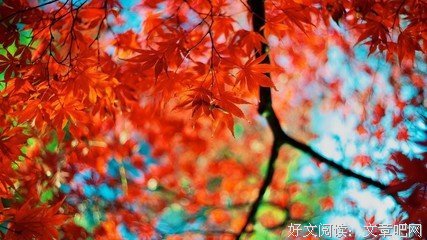Acheron的句子