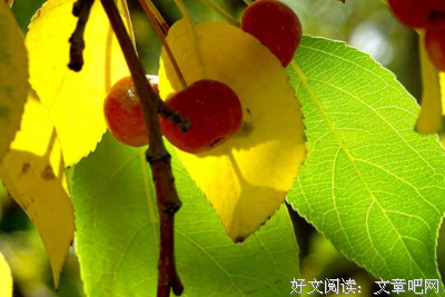 关于感动的句子