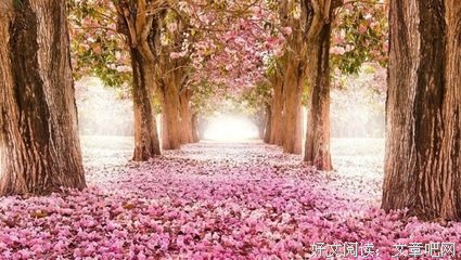 ❤看心是喜欢的优美句子
