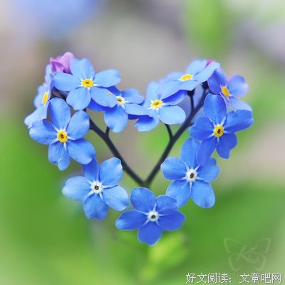 美图美句好词好句