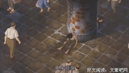 客居己乡读后感100字