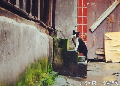 十元的名句_关于十元的名句