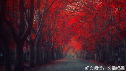 青春句子大全