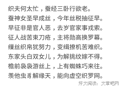 言的句子