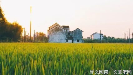 一个句集经典的句子