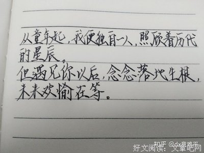 关于借来的片刻欢愉的句子