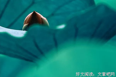 灼灼风华，潸认不去泪下。名句欣赏