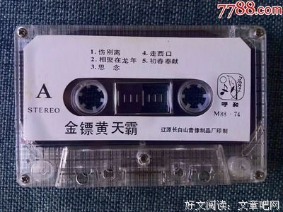 《金镖黄天霸》好看吗？经典影评锦集