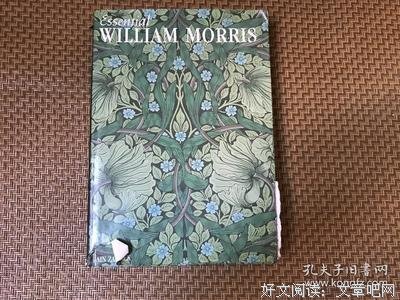 《莫里斯》观后感精选