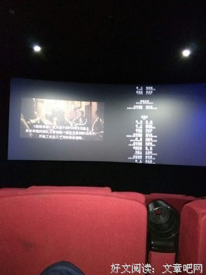 《第一夫人的保镖》好看吗？经典影评锦集