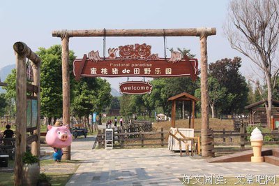 《马文的房间》经典观后感集