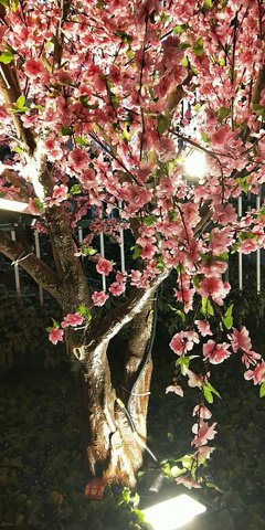 情人节是情人劫