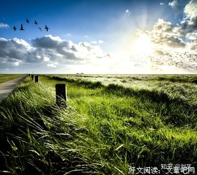 最喜欢的100句带便带都（2014年版）句子大全