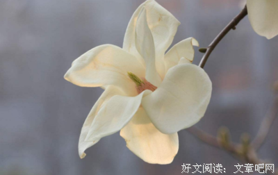 中国优美的句子
